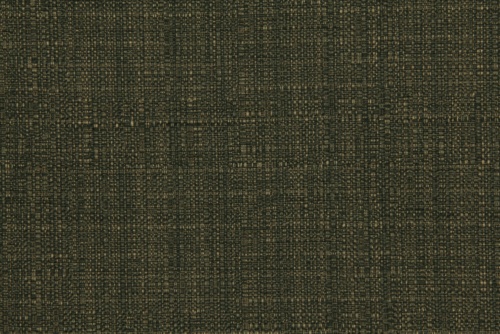 NEZUMI BK - ROBERT ALLEN FABRICS EBONY