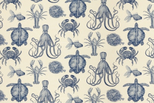 OCEANA - THOMAS PAUL - INDIGO