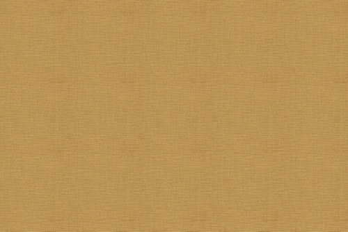 CANVAS DUCK - ROBERT ALLEN FABRICS CHAMOIS