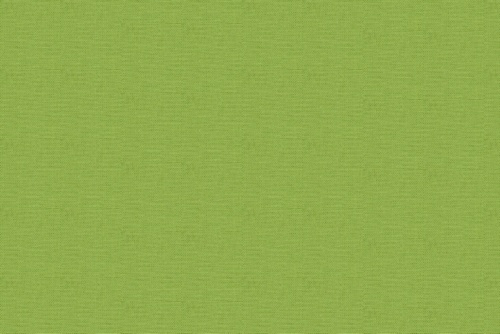 CANVAS DUCK - ROBERT ALLEN FABRICS LEAF