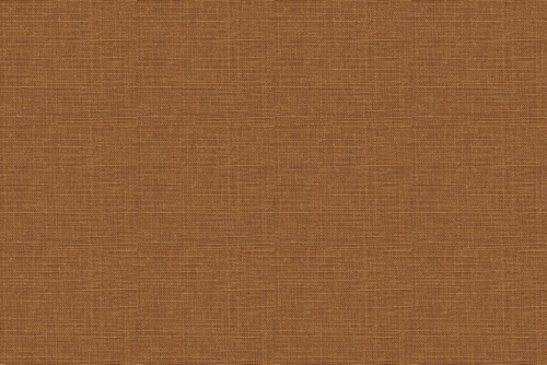 JADEN - ROBERT ALLEN FABRICS AMBER
