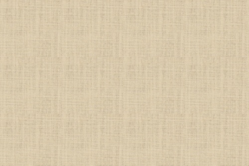 JADEN - ROBERT ALLEN FABRICS COCONUT