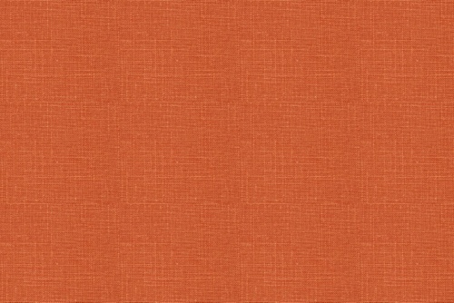 JADEN - ROBERT ALLEN FABRICS CORAL