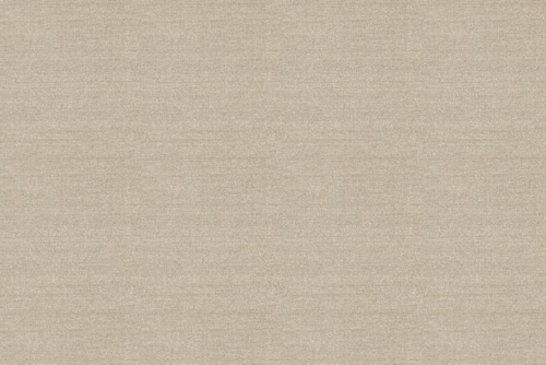 TRAMORE II - ROBERT ALLEN FABRICS BIRCH