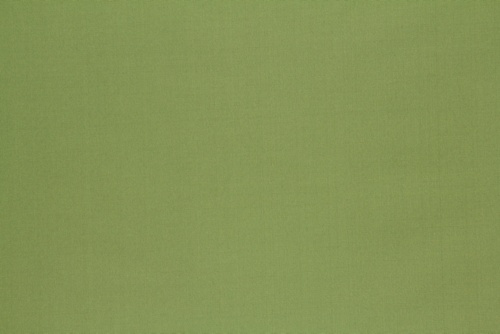 VINETTA - ROBERT ALLEN FABRICS CACTUS
