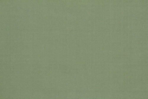 VINETTA - ROBERT ALLEN FABRICS MINT