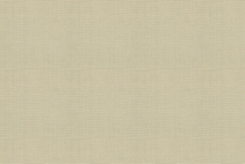 ZAHARA - ROBERT ALLEN FABRICS BIRCH