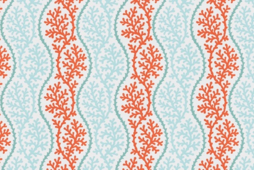 CORAL SPLENDOR OUTDOOR CORAL