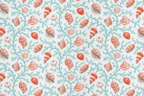 SEA SHELL BRA OUTDOOR CORAL
