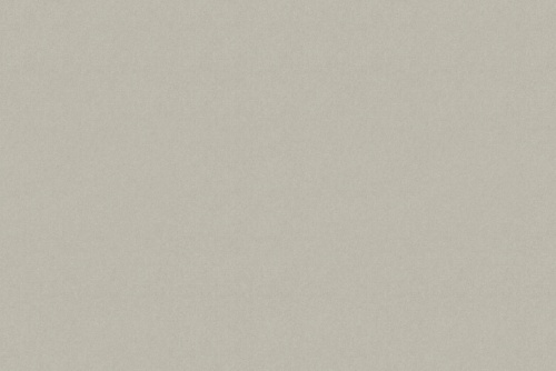 SENSUEDE ASH