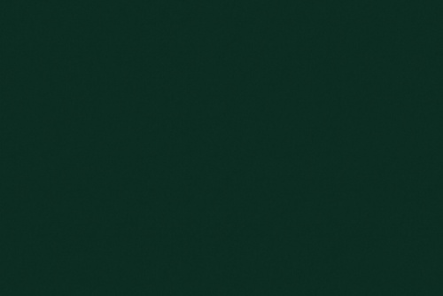 SENSUEDE EVERGREEN