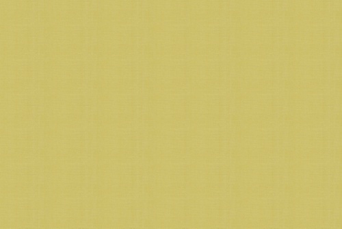 SAN RAFAEL - NATE BERKUS FABRIC - CITRON