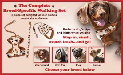 Dr. Brown's Recommended BreedPerfect� Complete Dachshund Walking Set
