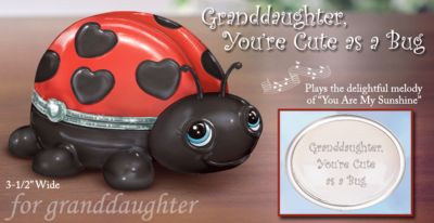 Cute As A Bug Collectible Ladybug Music Box