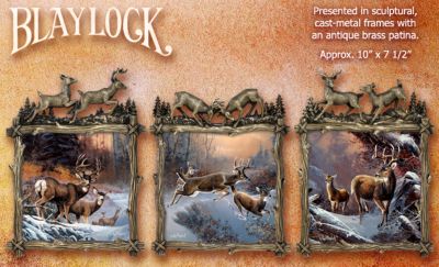 Wilderness Glory Whitetail Deer Cast Metal Wall Decor Art Collection - Collectible Whitetail Deer Wall Decor Art Collection Brings Winters Wild Beauty Indoors! Unique Cast-Metal Gallery Frames!