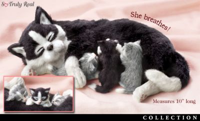 Comfy, Cozy Lifelike Pet Cat And Kitten Collection - These Lifelike Pet Cat and Kitten Plush Animals Need a Comfy Cozy Home - How About Yours? So Truly Real Exclusives!