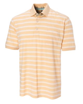 B&T Woodlawn Stripe Polo