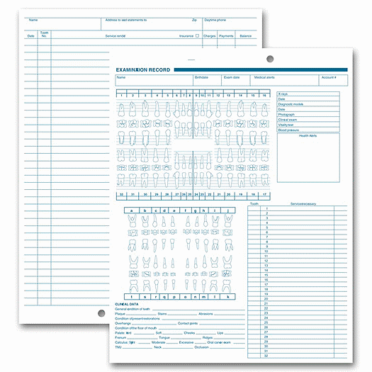 Dental Exam Record, Anatomic & Periodontic Diagrams - Office and Business Supplies Online - Ipayo.com