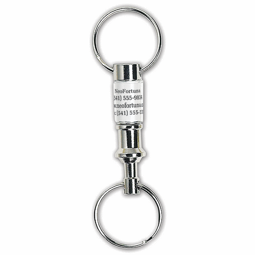 Silvertone Pull-Apart Key Tag - Office and Business Supplies Online - Ipayo.com