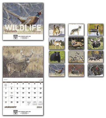 2017 Wildlife Portraits Wall Calendar