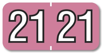 2021 Barkley End Tab Compatible Year Label Pink