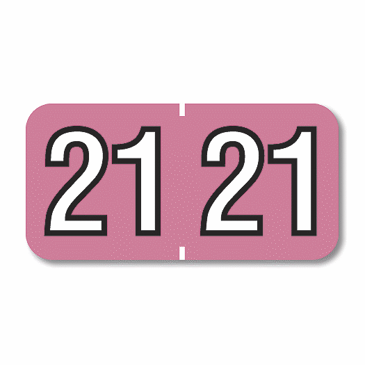 2021 Barkley End Tab Compatible Year Label Pink 120721