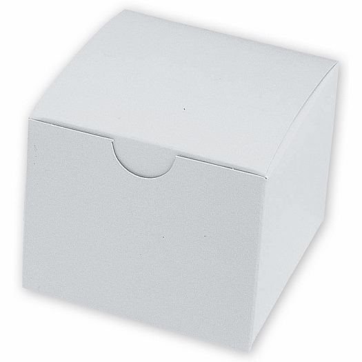 Model Boxes, Single, White - Office and Business Supplies Online - Ipayo.com