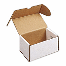 Dental Mailing Model Boxes - Double, White