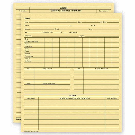 Vet Animal History Exam Record, 2 Sided, Card File Fold - Office and Business Supplies Online - Ipayo.com