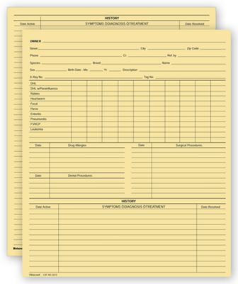 8 1/2 x 11 Vet Animal History Exam Record, 2 Sided, Letter Size