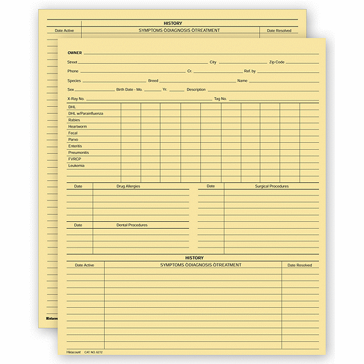 Vet Animal History Exam Record, 2 Sided, Letter Size - Office and Business Supplies Online - Ipayo.com
