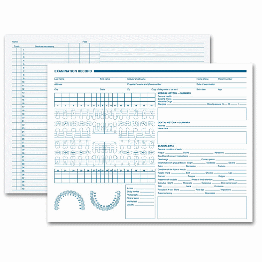Dental Exam Record, Anatomic Diagrams, Horizontal Format - Office and Business Supplies Online - Ipayo.com