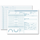 8 1/2 X 11 Dental Exam Record, Anatomic Diagrams, Horizontal Format