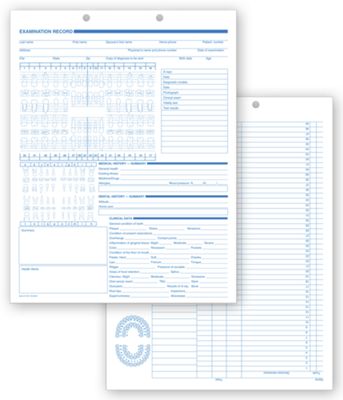 11 X 8 1/2 Dental Exam Records, Anatomic Diagram, Primary – Permanent