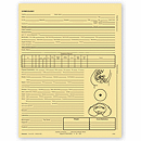 8 1/4 x 10 3/4 Gynecology Exam Records, Two – Sided, Letter Style, Buff
