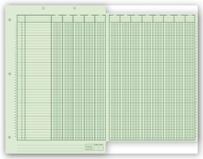 Columnar Work Sheets, Ring Book, Bottom Headed