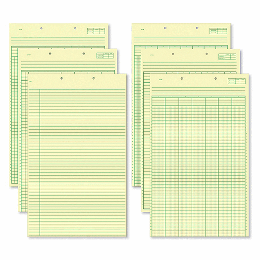 Green Columnar Work Sheets - Office and Business Supplies Online - Ipayo.com