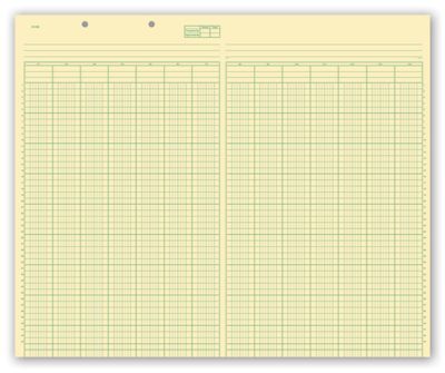 Green Columnar Work Sheets - Office and Business Supplies Online - Ipayo.com