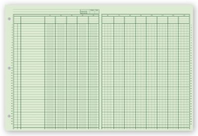 Columnar Pads, Ring Book, 13 Column - Office and Business Supplies Online - Ipayo.com