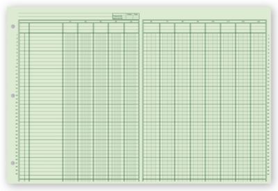 Columnar Pads, Ring Book, 13 Column