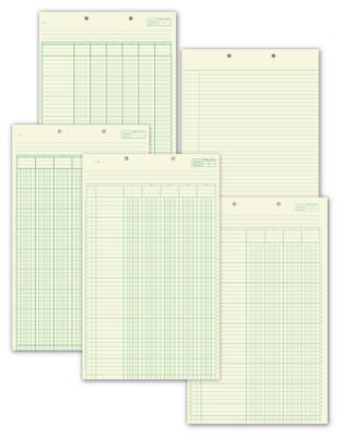 Buff Columnar Work Sheets - Office and Business Supplies Online - Ipayo.com