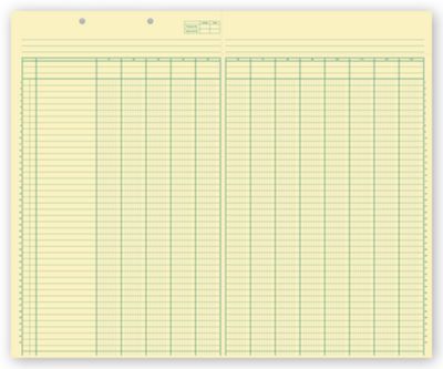 17 x 14 Columnar Work Sheets, 13 Columns