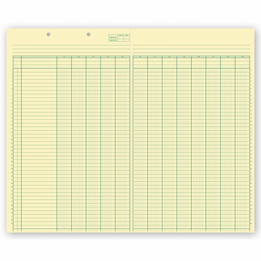 Columnar Work Sheets, 13 Columns - Office and Business Supplies Online - Ipayo.com