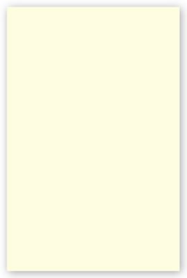 8 1/2 x 13 Will Papers, Off-White, Blank, Second Sheet