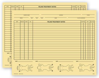 Veterinary Exam Records, Feline, Two - Sided, Buff