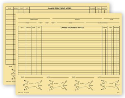 10 3/4 x 8 1/4 Veterinary Exam Records, Canine, Two – Sided, Buff
