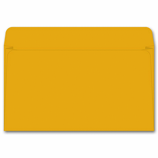 Card File Expansion Envelope, 40 lb Kraft