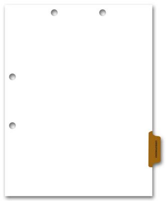 8 1/2 X 11** Side Tab Chart File Divider, Correspondence Tab