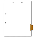 8 1/2 X 11** Side Tab Chart File Divider, Correspondence Tab