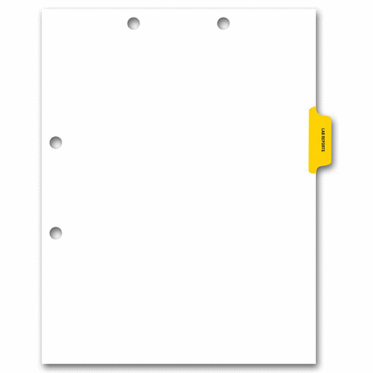 Side Tab Chart File Divider, Lab Reports Tab - Office and Business Supplies Online - Ipayo.com